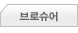 브로슈어